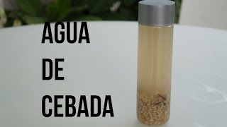 COMO HACER DELICIOSA AGUA DE CEBADA REFRESCANTE [upl. by Layla]