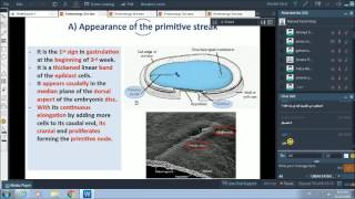 3rd wk of pregnancy  gastrulation  Dr Ahmed Farid [upl. by Ylrebmic760]