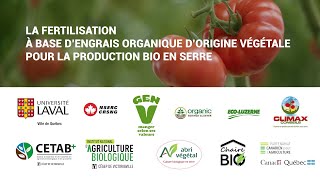 Essai sur la fertilisation biologique en serre [upl. by Currie408]