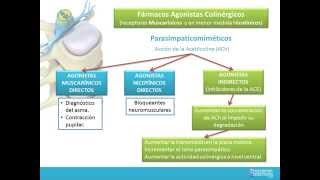 FARMACOS AGONISTAS COLINERGICOS [upl. by Arvid]