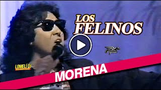 1991  Los Felinos  Morena  El Show de Johnny Canales [upl. by Brodench842]