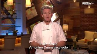 Cucine da Incubo Gordon Ramsay presenta Antonino Cannavacciuolo [upl. by Billye358]