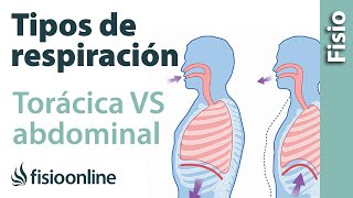 Respiración torácica VS respiración abdominal desde la visión de la fisioterapia respiratoria [upl. by Curren]