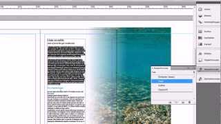 Interaktiv PDF Video einfügen InDesign CS 5 Tutorial Deutsch [upl. by Dreher]