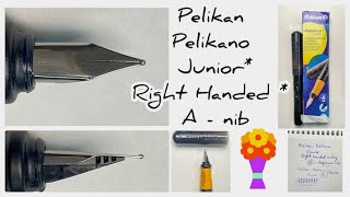 Unboxing and Review  Pelikan Pelikano Junior  Righthanded  A  category nib [upl. by Winterbottom]