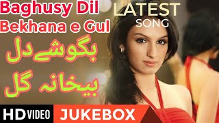 Bagoshy Dil Bekhana E Gull Ghazal  Farsi Famous Song [upl. by Anaiv]