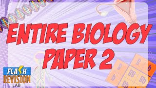 GCSE Biology Paper 2 The Full Summary [upl. by Nireves656]