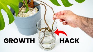 Should You Do THIS To Your Plant [upl. by Bennie]