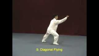 Tai Chi Yang Style 40 demonstration [upl. by Bettencourt442]