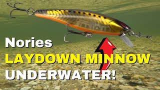 FISHING  Nories Laydown Minnow  UNDERWATER Video [upl. by Itsym]