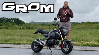 Why You NEED to Buy a Honda Grom in 2024 [upl. by Letty]