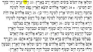 Torah Reading  Genesis Chapter 1 [upl. by Sila98]