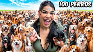 ADOPTÉ 100 PERROS en MI CASA [upl. by Skelly]