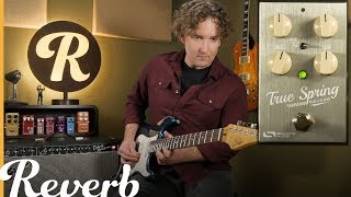 Whats the Difference Source Audios True Spring v Amp Spring Reverb  Reverb Tone Report [upl. by Marigolda232]