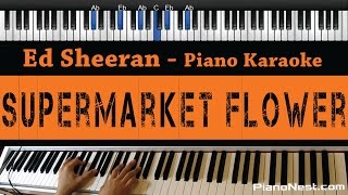 Ed Sheeran  Supermarket Flower  Piano Karaoke  Sing Along  Cover with Lyrics [upl. by Atalya]