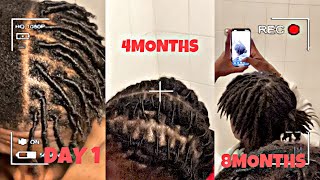 8 Months Starter Locs Dreadlocks Journey Trust the Process [upl. by Deden362]