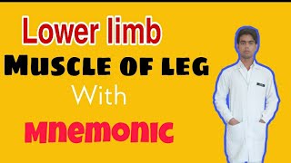 Lower limb   Muscle of Leg with mnemonic [upl. by Anderer]