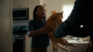 New Cat  Chewy Commercial [upl. by Annie]