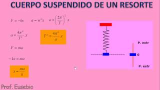 Movimiento Armónico Simple  Sistema cuerpo resorte [upl. by Helge998]