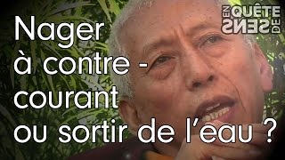 Nager à contre courant ou sortir de leau   Samdhong Rinpoché [upl. by Azerila]