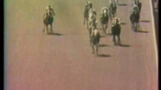 SECRETARIAT  1972 Aqueduct Allowance 1st win [upl. by Tenahs]