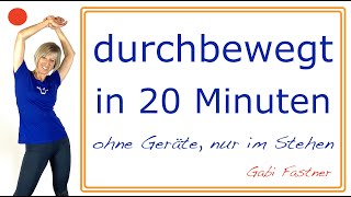 💫durchbewegt in 20 Minuten  ohne Geräte im Stehen [upl. by Noelani]