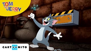 Tom amp Jerry auf wilder Jagd  Schlacht der Zauberstäbe  Cartoonito [upl. by Aneen]