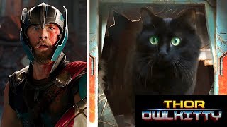 Thor meets my cat [upl. by Ttayh908]