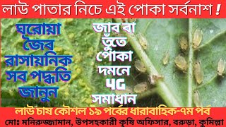 যে ভুলে দমন হয়না জাব পোকা । Get Rid Of Aphid । Organic Insecticide। Foolproof Control And Prevention [upl. by Atilegna]