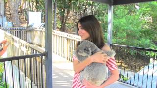 Victoria Justice cuddles the Koalas in Australiamov [upl. by Rubinstein]