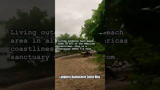 Langosta Guanacaste 555 am waking up to thunder lightning rains best secluded beach around [upl. by Eonak588]