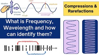 Understanding Frequency Wavelength Compression and Rarefaction in Sound Waves [upl. by Assitruc]