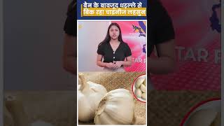 Ban के बावजूद धड़ल्ले से बिक रहा Chinese Garlic। [upl. by Iretak215]