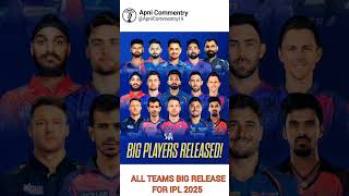 All Teams Big Players Release IPL 2025  ApniCommentry19 ipl2025 [upl. by Dorree203]