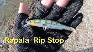 Trying the Rapala Rip Stop Jerkbait  Bass Crappie amp Pickerel  Long Island NY [upl. by Ettelrahc]