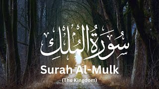 Surah AlMulk The Kingdom سورة الملك  Quran Recitation  Relaxing heart touching voice Surah Mulk [upl. by Adallard]