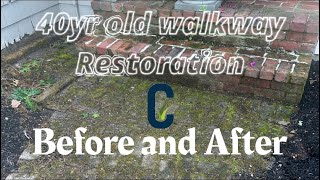 Restoring 40yr old walkway [upl. by Cantu]