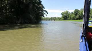 Boat ride to Tortuguero National Park [upl. by Aroz978]