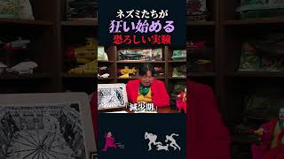 【岡田斗司夫】恐ろしすぎるマウス実験「UNIVERSE 25」【岡田斗司夫切り抜き切り取りとしおを追う】shorts [upl. by Chen389]