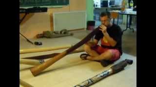 Le Didgeridoo traditionnel chez les Aborigènes [upl. by Isabel]