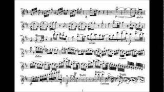 Mozart Wolfgang A 2nd violin concerto KV 211 [upl. by Benetta]