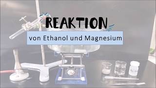 Versuch Reaktion von Ethanol mit Magnesium [upl. by Artkele]