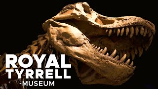 Journey Through the Age of Dinosaurs  WorldRenowned Royal Tyrrell Museum of Paleontology【4K】 [upl. by Ardnuhs]