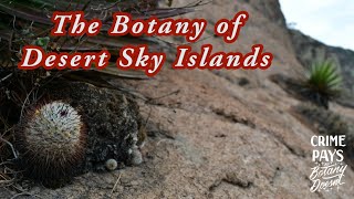 The Botany of Desert Sky Islands Starring Mammillaria andersoniana [upl. by Gosselin]