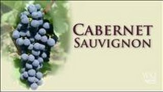 Cabernet Sauvignon A Prestigious Grape to Grow [upl. by Eenerb]