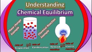 Chemical Equilibrium Examples Class 9 amp Class 11 Chemistry Animation  Digital Kemistry [upl. by Crescentia]