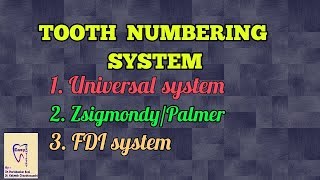 Tooth numbering system [upl. by Anairuy]