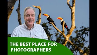 Top Lodge for Wildlife Photography in Pantanal  SouthWild [upl. by Brag]