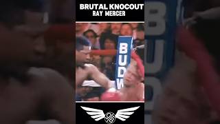 BRUTAL KNOCOUT ll Ray Mercer VS Tommy Morrison [upl. by Artair]