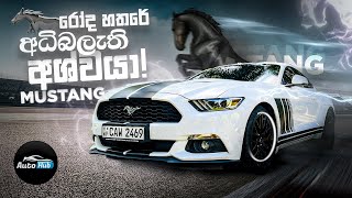 Ford Mustang 23L Eco Boost Review Sinhala I Auto Hub [upl. by Relyt]